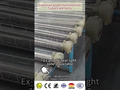 Ex ไฟไม่หลอมแสง LED Ex d ATEX IECEx เรต IP66 สําหรับพื้นที่อันตราย 53W 101lm/w