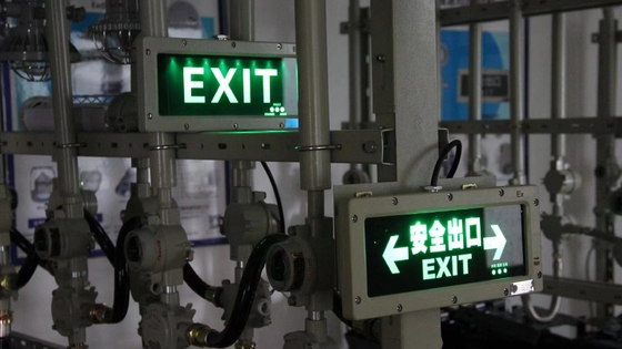 50 000 ชั่วโมง ระเบิดป้องกันระเบิด ทางออกฉุกเฉิน LED ไฟฟ้า 120 ลูเมนต่อวัตต์ และ IP66 การป้องกัน
