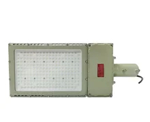 50W Ex Proof LED Flood Light พร้อมความสว่างและตัวเลือกการติดตั้งต่างๆ