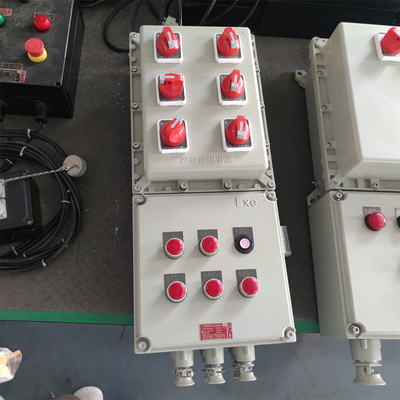 IP66 ป้องกันการระเบิด ป้องกันไฟ ปานควบคุม WF2 ด้วยการเข้าสายไฟที่กําหนดเอง ATEX รับรอง