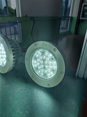 Ex Proof High bay Light 180lm/w ATEX ทนทานต่อการกัดกร่อน IP66 Led Outdoor Ceiling Light 50W-250W