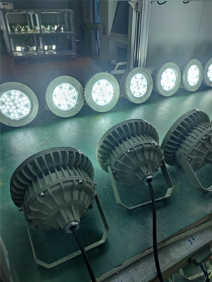 Ex Proof High bay Light 180lm/w ATEX ทนทานต่อการกัดกร่อน IP66 Led Outdoor Ceiling Light 50W-250W
