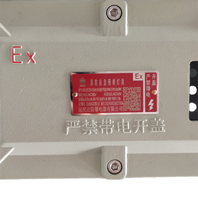 โซนอันตราย 1 ภาพไฟที่ป้องกันระเบิดอุตสาหกรรม IP66 WF2 5 วัตต์ 90-180 นาที