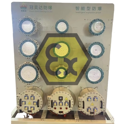 ATEX แผ่นกระจายพลังงานแสงกันระเบิด IP66 กันสนิมสําหรับเขตอันตรายทางทะเล/นอกทะเล 1