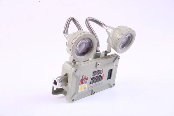 โครงการอุตสาหกรรม 2 * 3Watt 220VAC 24/36VDC ไฟไหม้ต่อรองฉุกเฉิน
