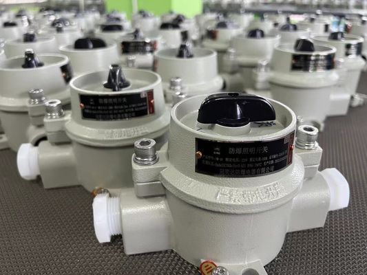 สวิตช์เลือกไฟฟ้าแบบป้องกันการระเบิด 220V / 380V พร้อม WF2 Grey Zone 22