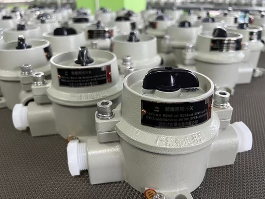 สวิตช์กันระเบิดทนทานต่อการกัดกร่อน ด้วยระดับการป้องกัน Ip66 สําหรับการเข้าสายไฟฟ้า 9-13 มม.