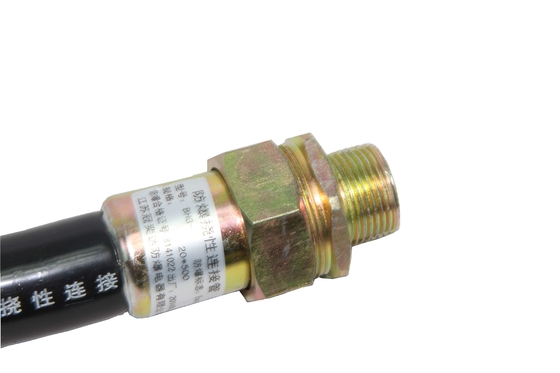 G1/2 สวิทช์ป้องกันระเบิดในการเข้าสายไฟฟ้า - BHZ Compliant