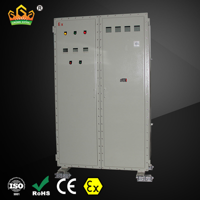IP66 ป้องกันระเบิด ติดจอดพื้นผิว 2 ต้น ระดับการป้องกันสูง ทนทาน