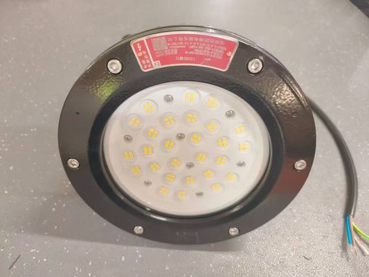 แสง LED ระเบิดไฟ IP66 ATEX รับรอง 160lm/W