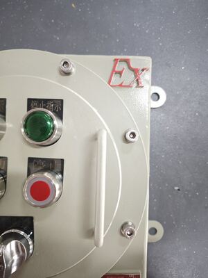 ผลิตในประเทศจีน ATEX 220V / 380V BLK IP65 เครื่องปรับระงับกันระเบิด เหมาะสําหรับติดตั้งผนัง
