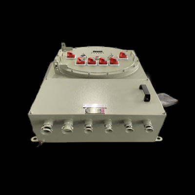 กล่องติดผนัง ป้องกันการระเบิดด้วยความกระชับกระแส AC220V/380V