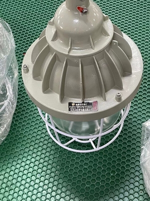 หลอดไฟ HID กันระเบิด ATEX กำลังไฟสูง 200W 400W ติดตั้งบนเพดาน/แขวน/ผนัง กินไฟ 150-400 วัตต์